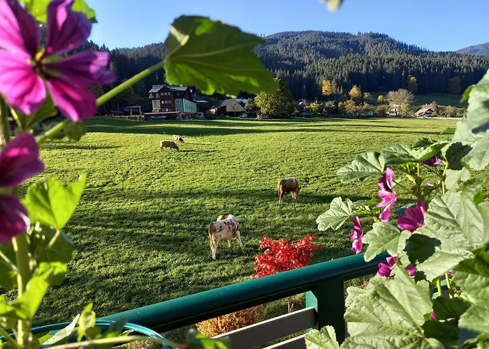 Gaestehaus Sieglinde 고사우