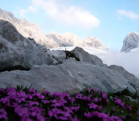 Gaestehaus Sieglinde