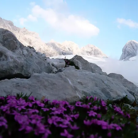 Gaestehaus Sieglinde